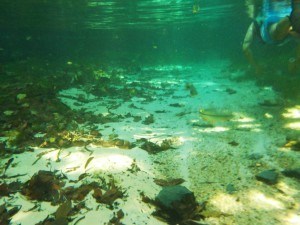 Mergulho no Rio Triste, Bom Jardim - Nobres - MATO GROSSO