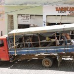O velho e bom paú de arara