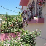 Nem é preciso dizer que a D. Diana adora flores...