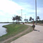 Lago do Parque da Sementeira