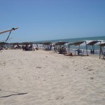 Todo mundo se ajeita nesses quadradinhos