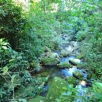 Cachoeira do Amor - Ubatuba