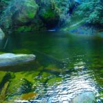 Cachoeira do Amor - Ubatuba