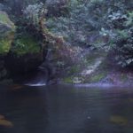 Cachoeira do Amor - Ubatuba