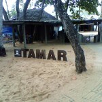 PROJETO TAMAR