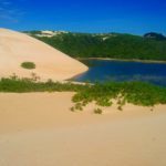 Olha o contraste de cor