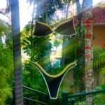 Praia Domingas Dias - Ubatuba