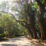 Praia Itamambuca - Ubatuba