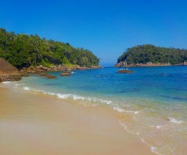 Ilha das couves - Ubatuba litoral norte de São Paulo