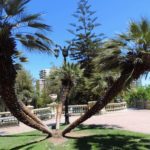 Cerro de Santa Lucia CHILE – CERRO DE SANTA LUCIA