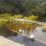 Yayoi Kusama - Inhotim - Brumadinho - Minas Gerais