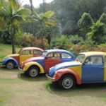 Jarbas Lopes - Inhotim - Brumadinho - Minas Gerais