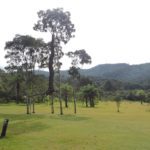 GIUSEPPE PENONE - Inhotim - Brumadinho - Minas Gerais