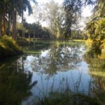 INHOTIM - BRUMADINHO -MINAS GERAIS