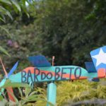 Bar do Beto - Inhotim - Brumadinho - Minas Gerais