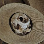 PSICOAIVA TUNGA - Inhotim - Brumadinho - Minas Gerais - Brasil