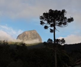 Pico do Papagaio - AIURUOCA - Minas Gerais