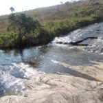 CARRANCAS - Beija Flor