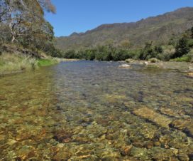 Santana do Riacho – Serra do Cipó