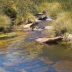 TRILHA DAS ANDORINHAS - PARQUE NACIONAL DA SERRA DO CIPÓ - SANTANA DO RIACHO - MINAS GERAIS - BRASIL