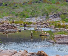 Chapada dos Veadeiros