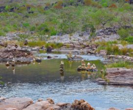 Chapada dos Veadeiros