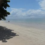 GAMELEIRA - ILHA ITAPARICA - BAHIA - BRAZIL