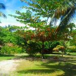 Yaya Camping - Santa Cruz Cabralia - Sul da Bahia - Brasil