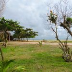 Camping Mutary - Santa Cruz Cabrália - Bahia - Brasil