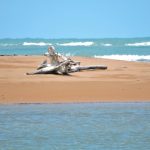 Coroa Alta - Santa Cruz Cabrália -Bahia - Brasil