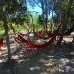 Fazenda Mãe Tereza - Santa Cruz Cabrália - Bahia - Brasil