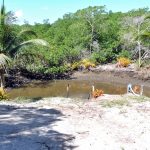 Fazenda Mãe Tereza - Santa Cruz Cabrália - Bahia - Brasil