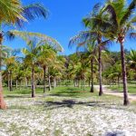 Fazenda Mãe Tereza - Santa Cruz Cabrália - Bahia - Brasil