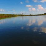 Rio João Tiba - Santa Cruz Cabrália - Bahia - Brasil