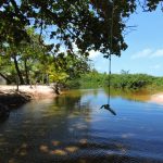 PRAIA RIO DO PEIXE -BAHIA - BRAZIL