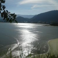 Camaroeiro - Caragua